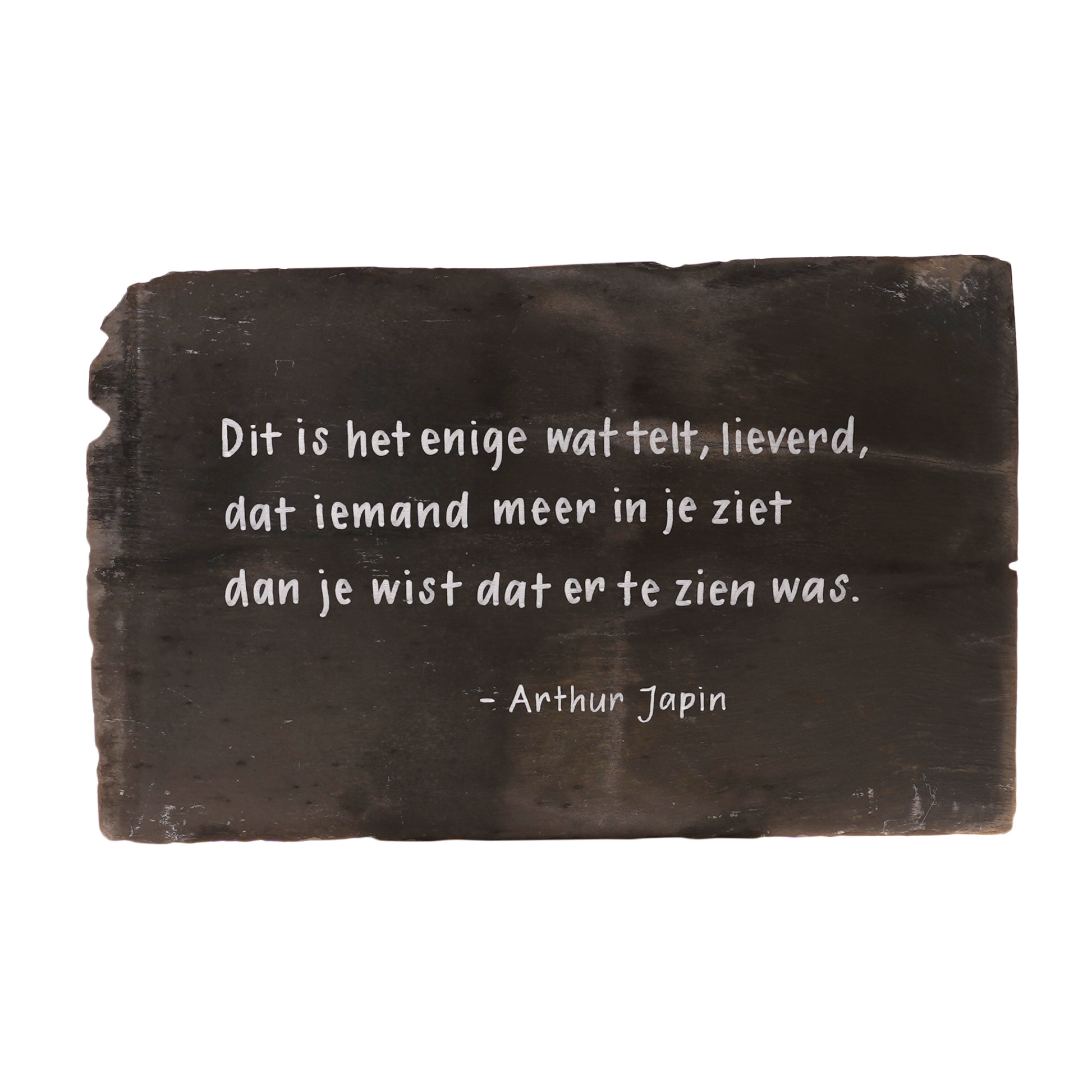 Daklei van de Domtoren met quote van Arthur Japin. (Dit is het enige wat telt, lieverd...)