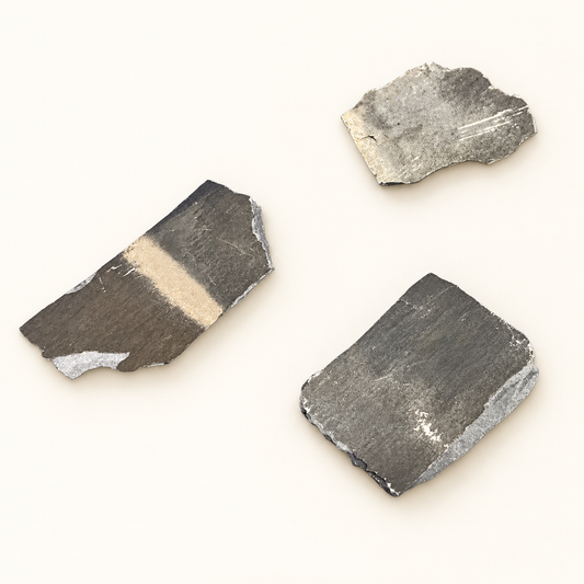 Daklei magneet – studiofoto